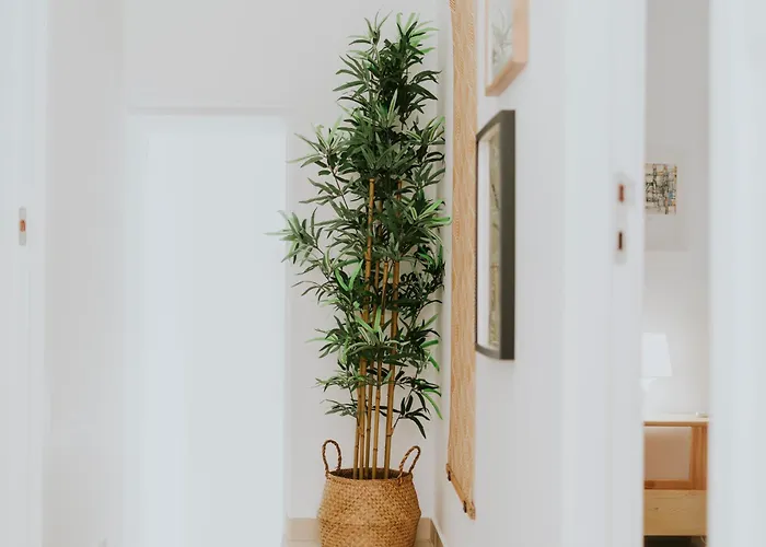 94 - Casa Do Sol Holiday home